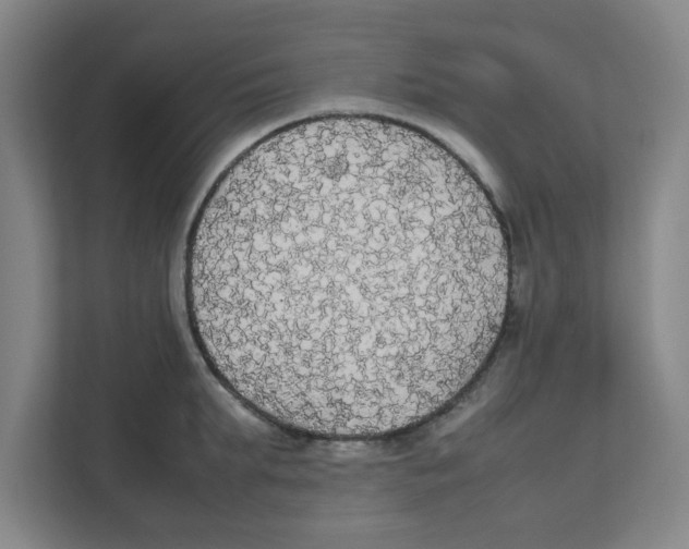 X0000111860903200908201255