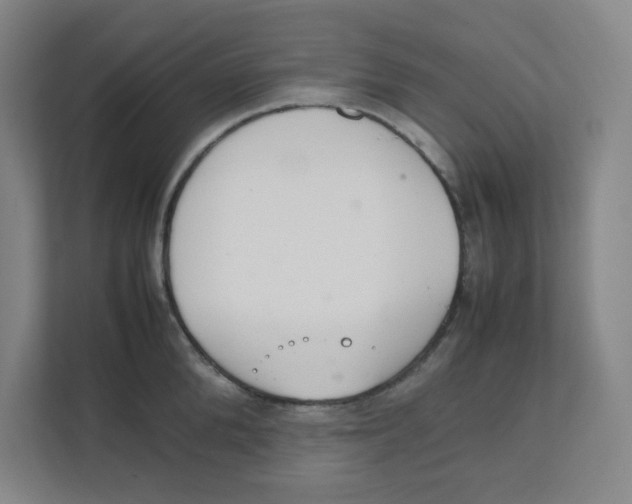 X0000111860904200908201255