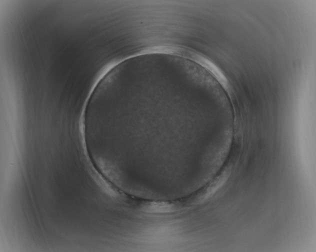 X0000111860907200908201255