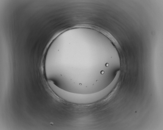 X0000111860908200908201255
