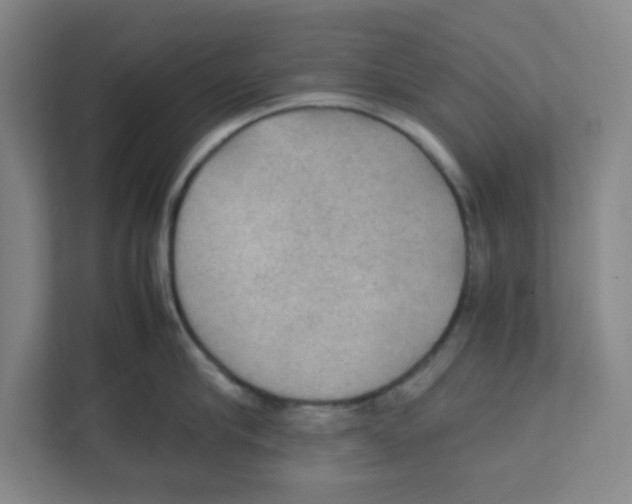 X0000111860910200908201255