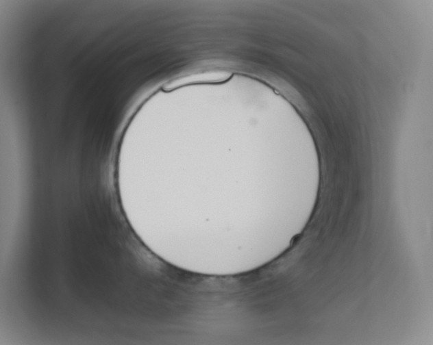 X0000111860912200908201255