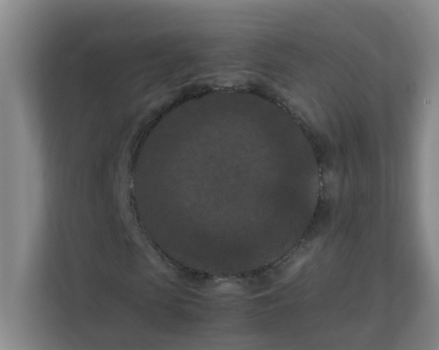 X0000111860913200908201254