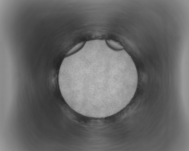 X0000111860914200908201254