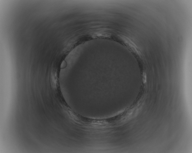 X0000111860915200908201254