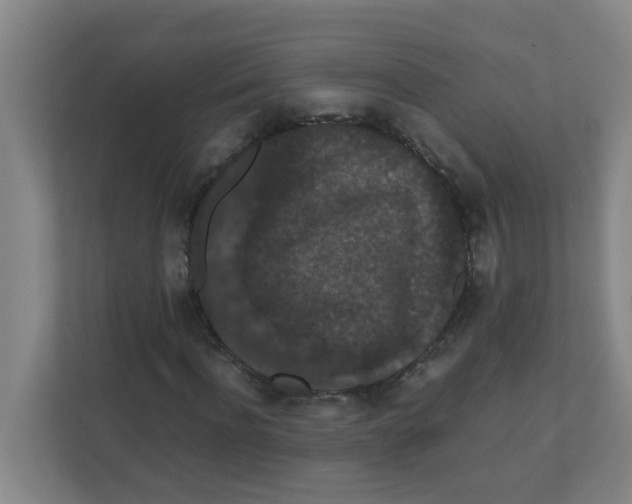X0000111860916200908201254