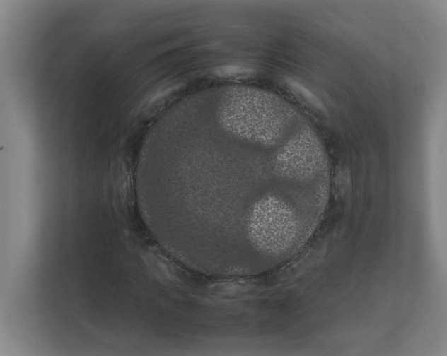 X0000111860917200908201254