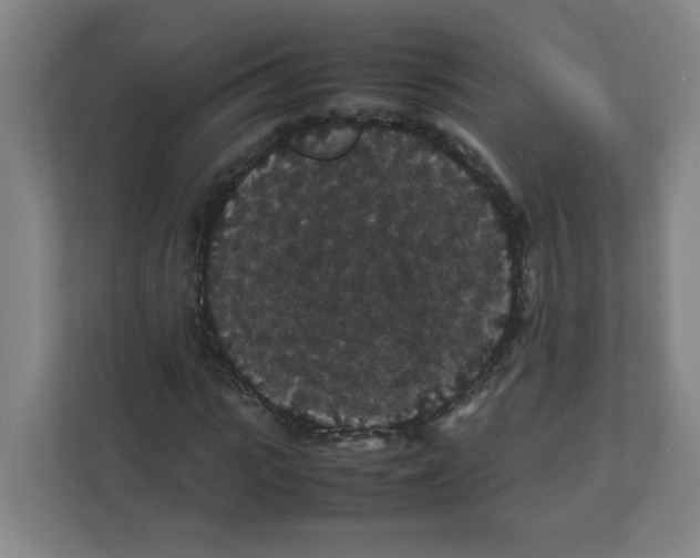 X0000111860919200908201254
