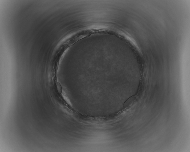 X0000111860920200908201254