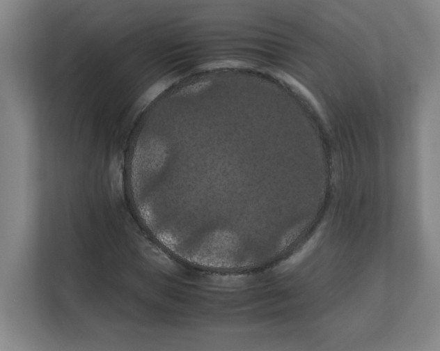 X0000111860921200908201254