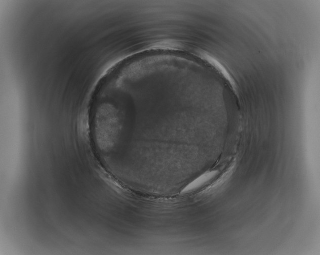 X0000111860923200908201254