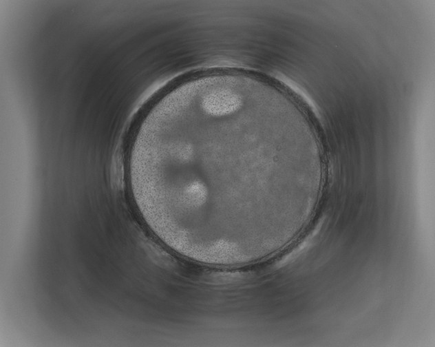 X0000111860925200908201254