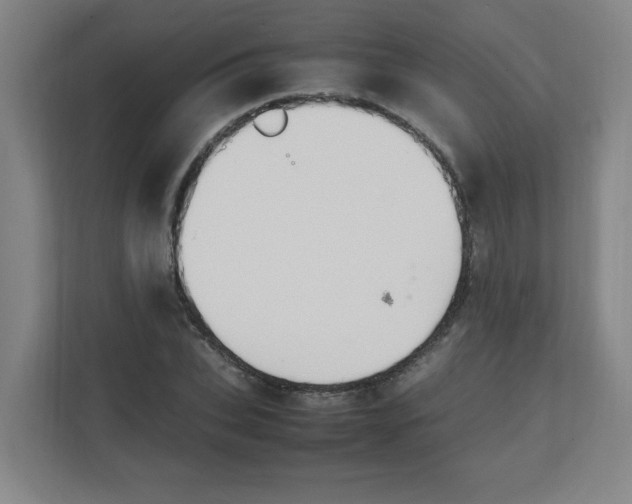 X0000111860927200908201254