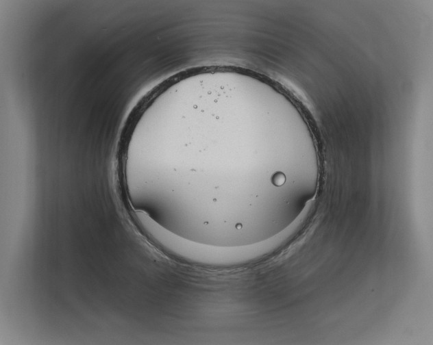 X0000111860928200908201254