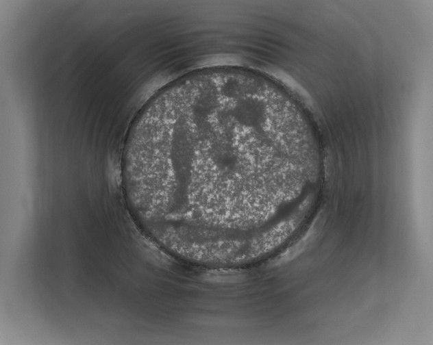 X0000111860929200908201254