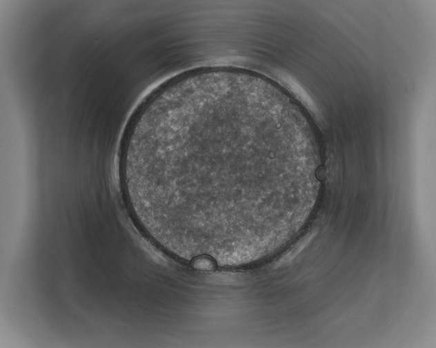 X0000111860932200908201254