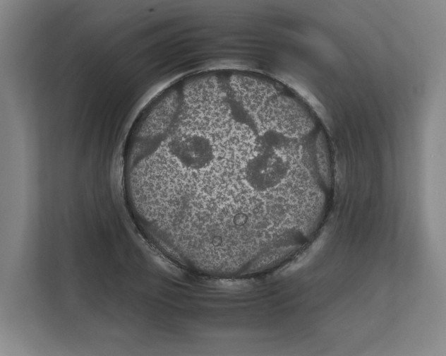 X0000111860933200908201254