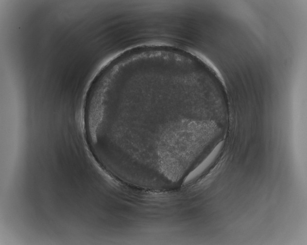 X0000111860935200908201254