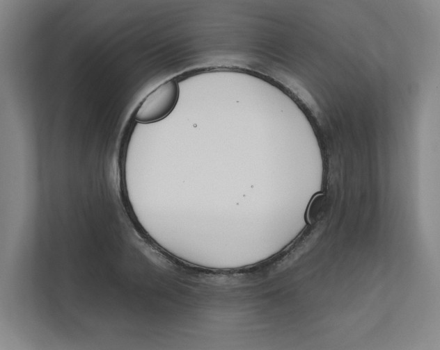 X0000111860936200908201254