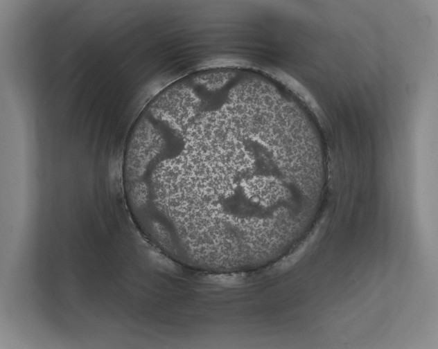 X0000111860937200908201254