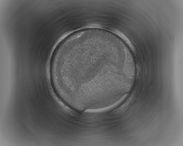 X0000111860939200908201254
