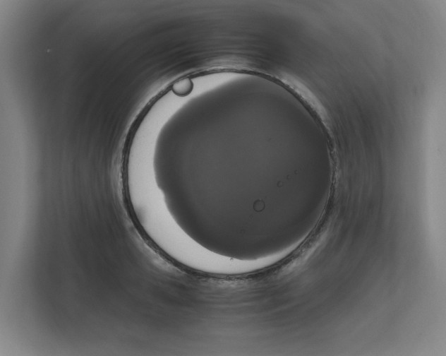 X0000111860941200908201255