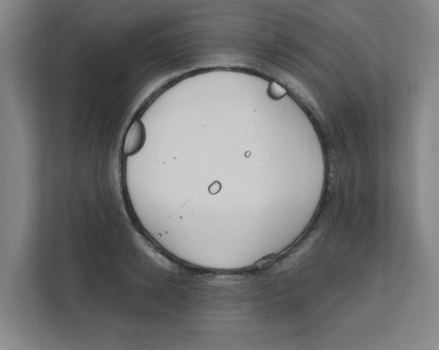 X0000111860942200908201255