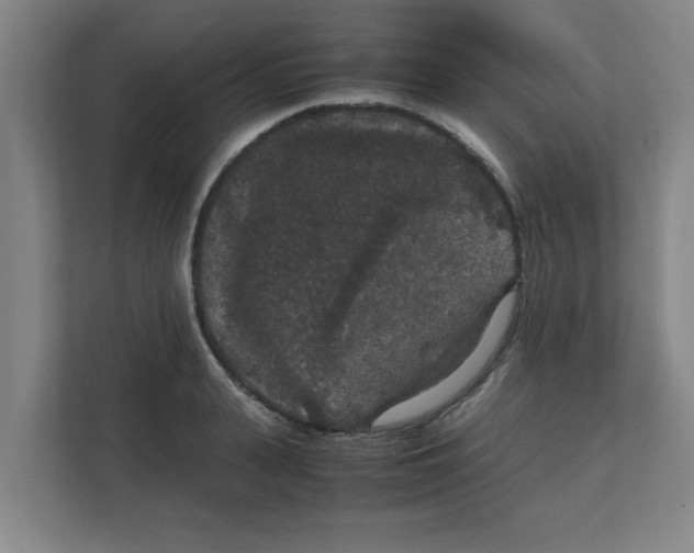 X0000111860943200908201255