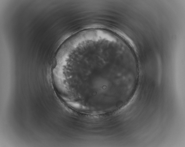 X0000111860945200908201255