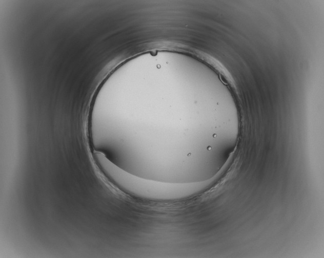 X0000111860946200908201255