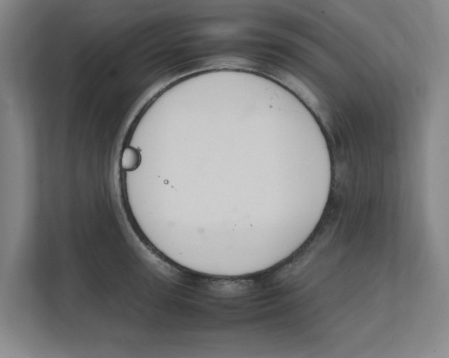 X0000111860947200908201255