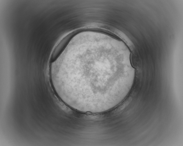X0000111860948200908201255