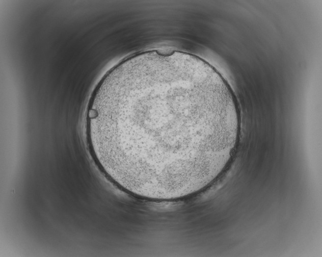 X0000111860949200908201255