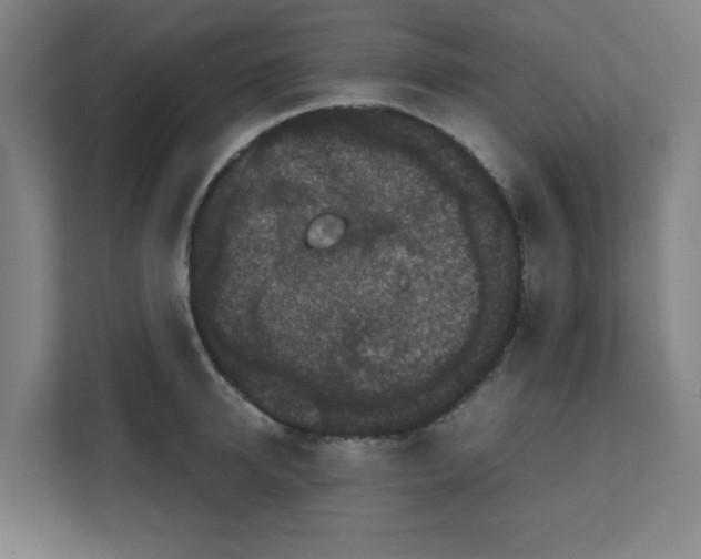 X0000111860950200908201255