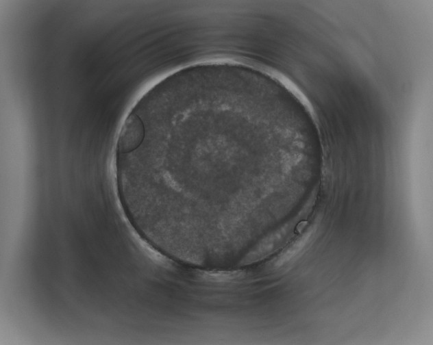 X0000111860951200908201255