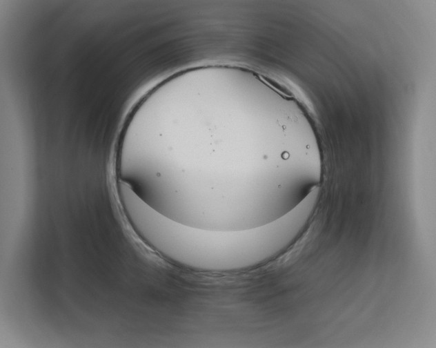 X0000111860952200908201255