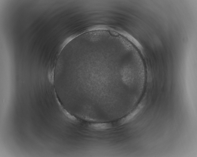 X0000111860953200908201255