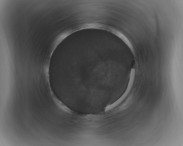 X0000111860954200908201255