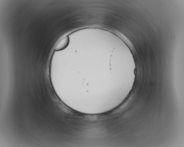 X0000111860956200908201255