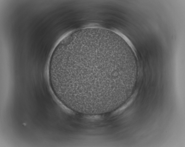 X0000111860957200908201255