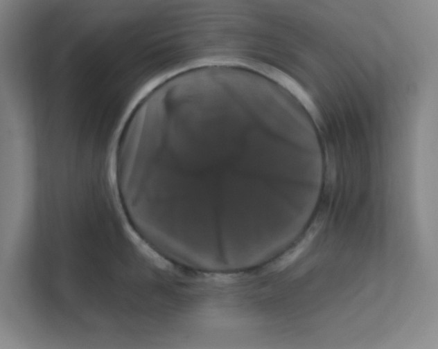 X0000111860958200908201255