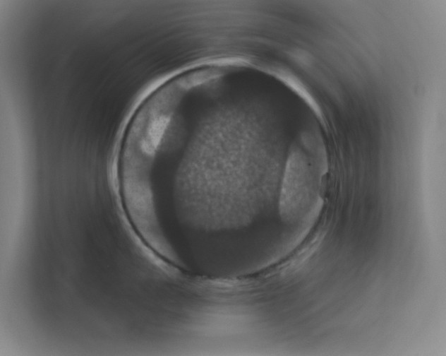X0000111860959200908201255