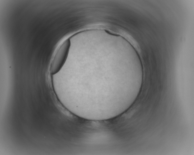 X0000111860960200908201255