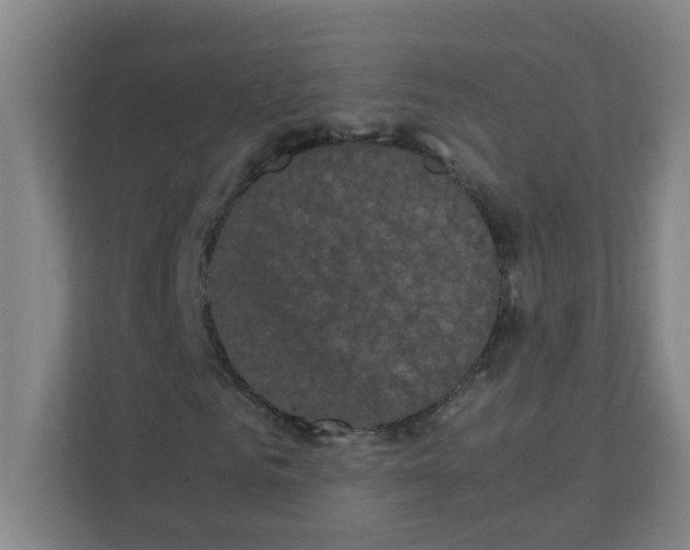X0000111860961200908201254