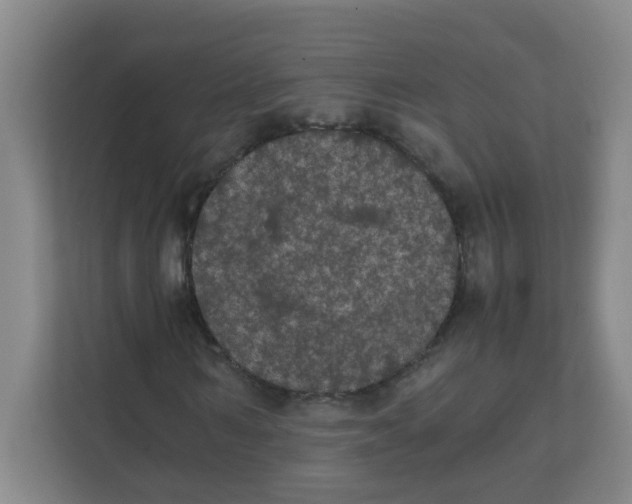 X0000111860962200908201254