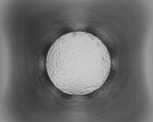 X0000111860963200908201254