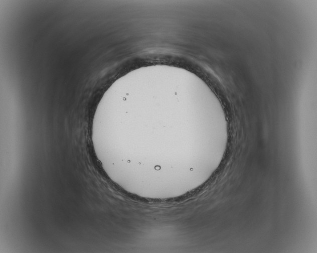 X0000111860965200908201254