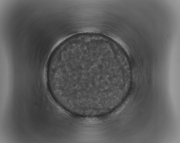 X0000111860983200908201254