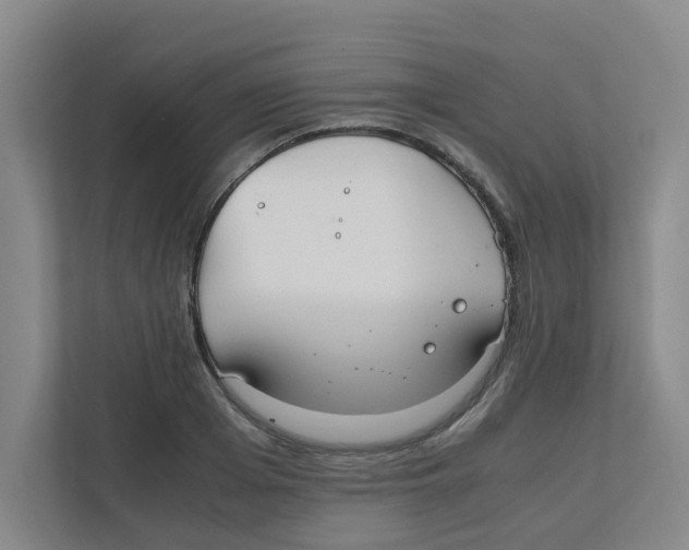 X0000111860985200908201254