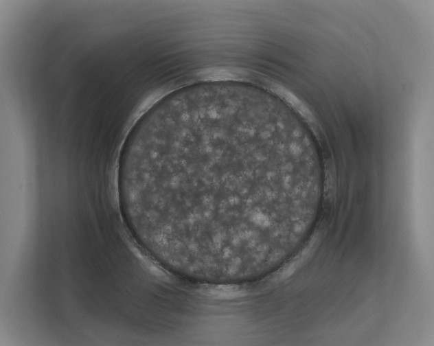 X0000111860986200908201254